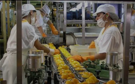 Una de cada dos empresas del sector no espera una recuperación de la demanda