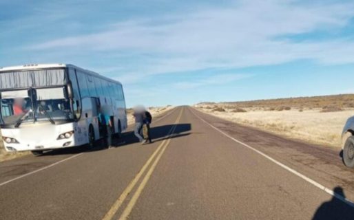 Incautaron carne ovina y de guanaco en un colectivo