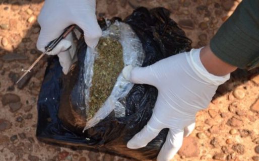 Interceptaron encomiendas con 33 kilos de marihuana