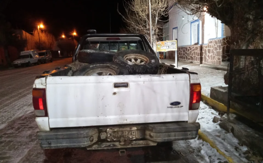 Decomisaron 550 kilos de carne de guanaco en Gobernador Costa