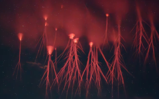 Qué es el fenómeno de los duendes rojos y por qué despierta el interés de la NASA