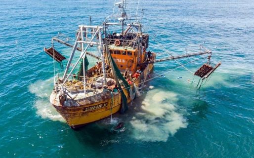 Falta de acuerdo por el precio del langostino tensa las negociaciones entre el SOMU y la Flota Amarilla