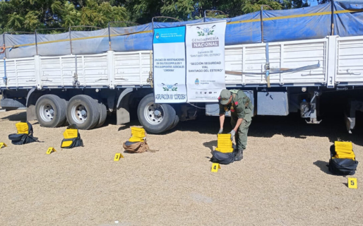 Un camionero viajaba con 72 ladrillos de cocaína
