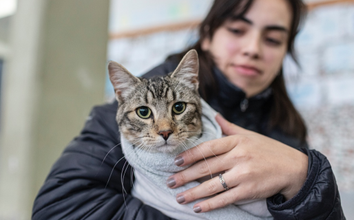 El tráiler de castración estará en la vecinal del barrio Don Bosco hasta este viernes