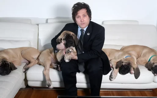 Con el visto bueno de Javier Milei, Diputados comenzará a debatir la «ley Conan»