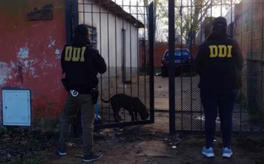 Una beba de nueve meses quedó hemipléjica tras ser golpeada por su tía