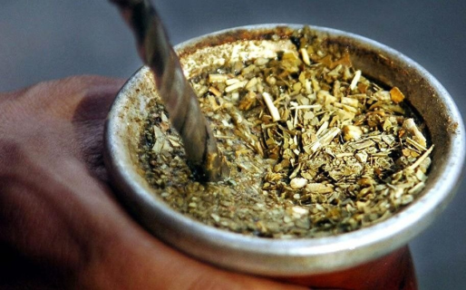 Científicos logran transformar residuos de yerba mate en un bioaceite con valor comercial y potencial energético