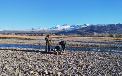 Intentaban ingresar al país desde Chile ilegalmente con marihuana