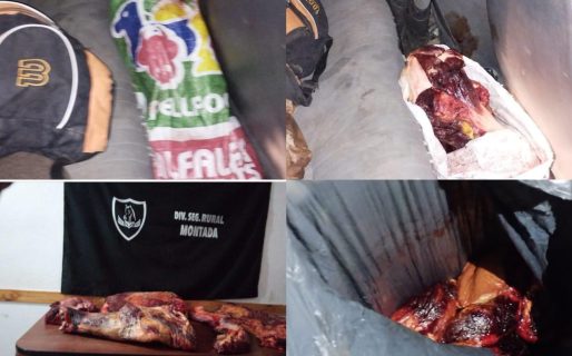 Secuestran carne faenada en un control de tránsito