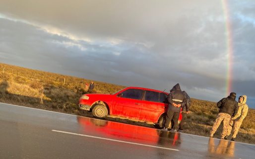Intentaban robar ovejas de una estancia con un perro y un hombre los atrapó