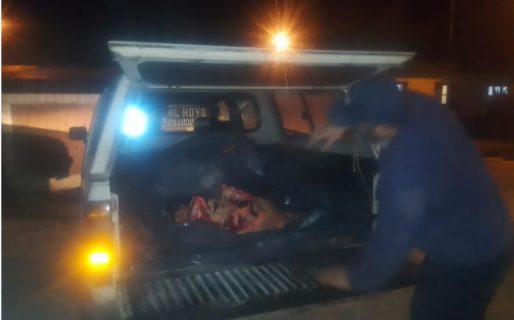 Llevaba carne en la caja de la camioneta y se la decomisaron