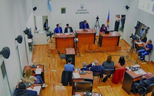 Suba del boleto del transporte público: “Se agotó la partida presupuestaria destinada para todo 2024”, dijo Rodrigues