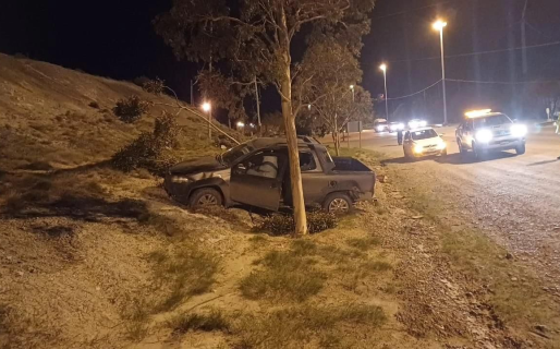 Un conductor terminó chocando contra un árbol tras esquivar a un perro en B Castelli