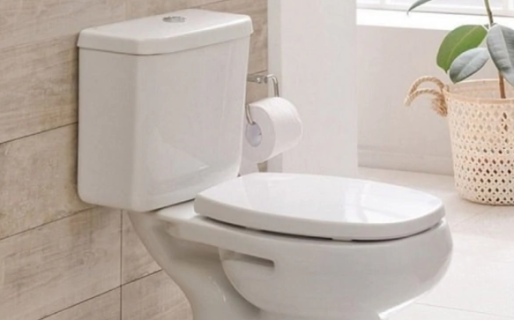 Una turista alemana quedó atrapada por un inodoro de una farmacia