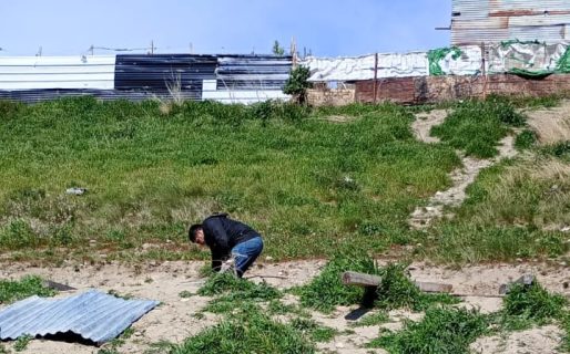 Demoronaron viviendas que habían sido instaladas con fines de usurpar tierras