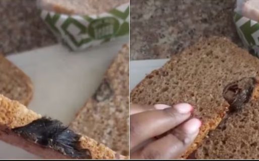 Compró un pan lactal en el supermercado y cuando lo abrió se llevó una asquerosa sorpresa
