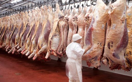 La mesa de enlace se reunió con el Gobierno por las exigencias de Europa sobre deforestación