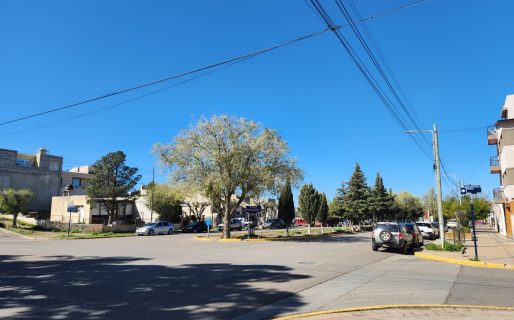 Peligro en el barrio Roca: un hombre persiguió y acosó a una joven