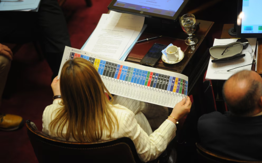 Diputados dictaminó la Boleta Única de Papel y las elecciones 2025 se encaminan a ser con nueva metodología