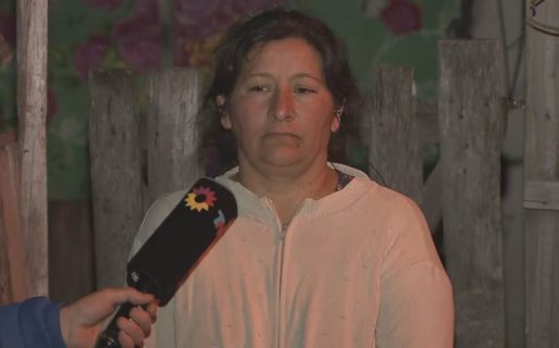 Los padres de Loan pidieron una pericia psiquiátrica para Laudelina