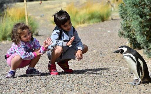 Punta Tombo contará con una Sala de Primeros Auxilios para el comienzo de la Temporada de Pingüinos