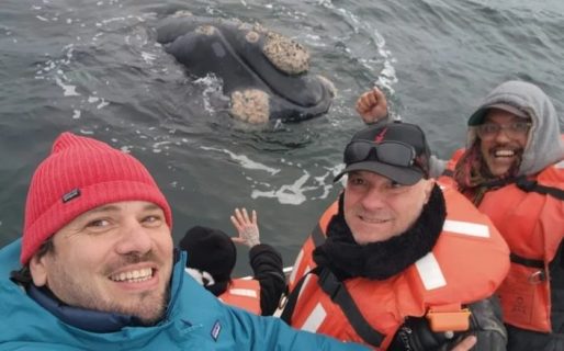 Los integrantes de La Renga disfrutaron del avistaje de ballenas en Puerto Pirámides