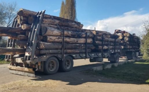 Le decomisaron la carga del camión por tener la guía de transporte vencida