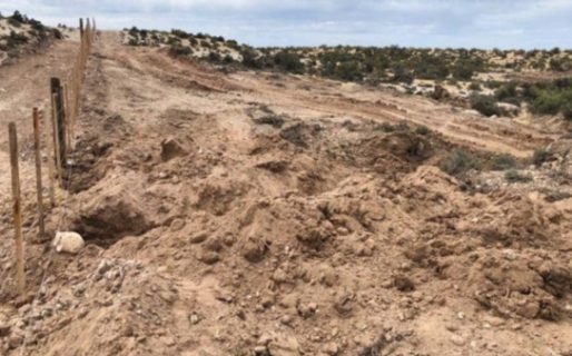 El 28 empieza el juicio por la masacre de pingüinos