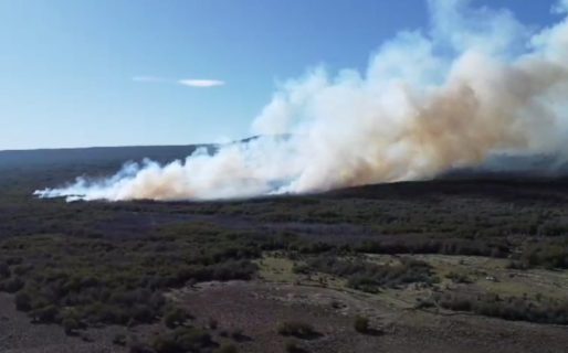 Continúan trabajando para controlar el incendio forestal en la zona de Río Pico