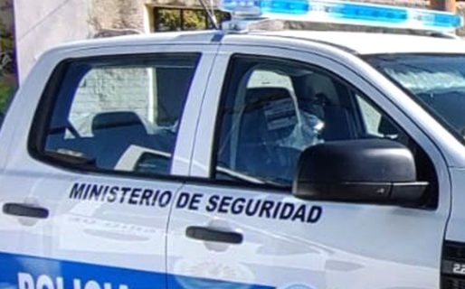 Durante un control policial decomisaron 17 guanacos faenados ilegalmente