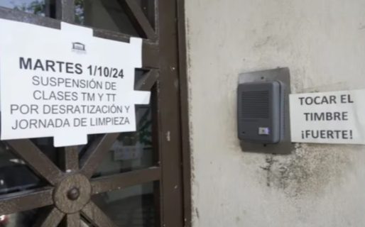 Escándalo en una escuela: un alumno fue mordido por una rata mientras estaba en el baño
