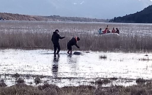 Encontraron el cuerpo de la turista desaparecida en Cholila