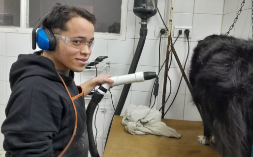 Alumnos de la Escuela N°521 iniciaron sus pasantías en comercios de la ciudad