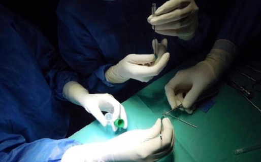 Una operación pionera de rodilla puso a la Argentina a la vanguardia de la medicina regenerativa