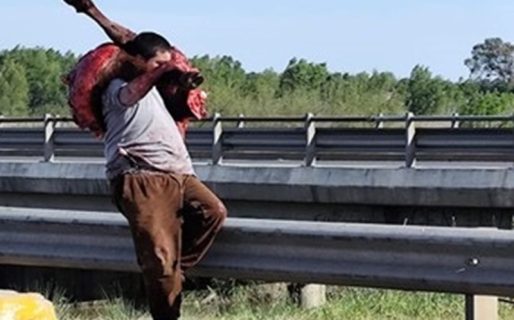 Volcó un camión en la ruta 9: “Nos vamos a comer un re asado, gordo” decían los vecinos