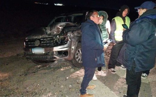 Una camioneta impactó contra un guanaco, no hubo heridos de gravedad