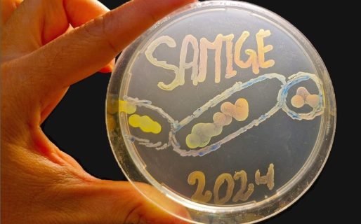 «Lo que oculta la estepa patagónica»: Una bioquímica comodorense concursa por un reconocimiento del SAMIGE