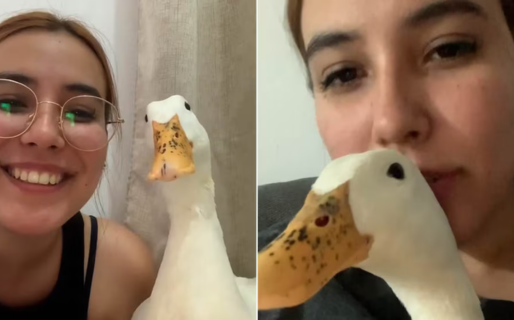 Le pidió a su pato que sonriera para la cámara y el video cautivó a millones en TikTok