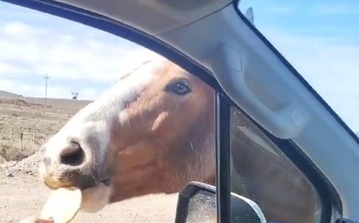 El curioso «peaje» en el yacimiento Tres Picos: «Le tenés que pagar»
