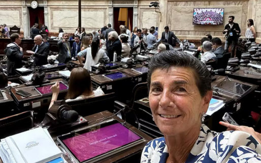 La diputada que propone eliminar las fotomultas tiene 34 infracciones y debe casi $6 millones