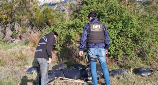 Secuestran más de 500 kilos de carne de guanaco