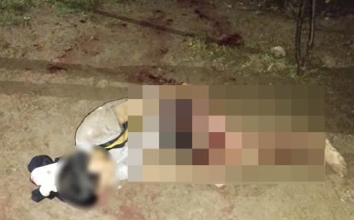 Intentó entrar a una casa para robar y fue atacado brutalmente por dos perros