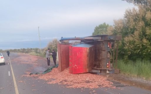 Volcó un camión con restos de langostinos: «Me dormí»