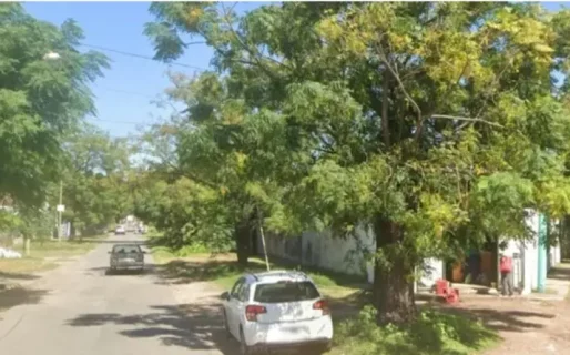 Un hombre murió después de recibir 150 picaduras de abejas