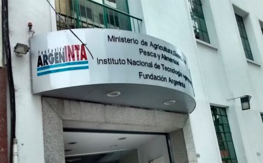 El Gobierno anunció un ajuste en el INTA: despedirá 227 empleados y venderá edificios y tierras del organismo
