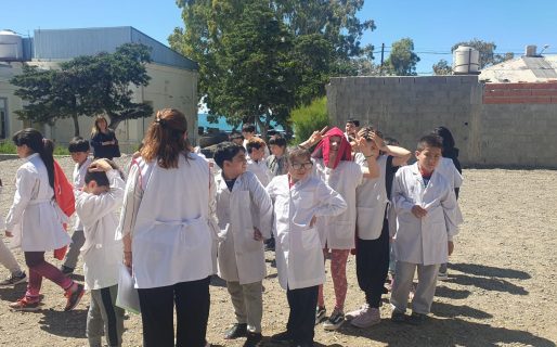 Huertas Saludables: Una proyecto de aprendizaje y medio ambiente para las escuelas comodorenses