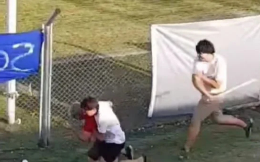 Invasión de abejas interrumpe partido en la Liga Cordobesa