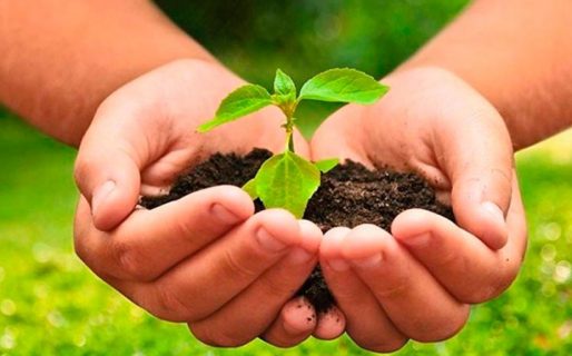 <strong> Llega la Segunda Edición de “Eco Circula: Agroecología + Consumo Responsable”</strong>