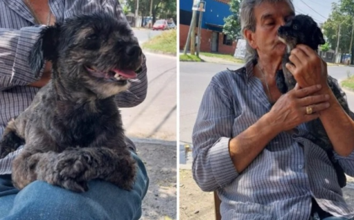 Le robaron la bici con su perro adentro y mueve cielo y tierra para encontrarlo