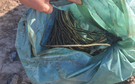 Casi se alzan con 50kg de cobre